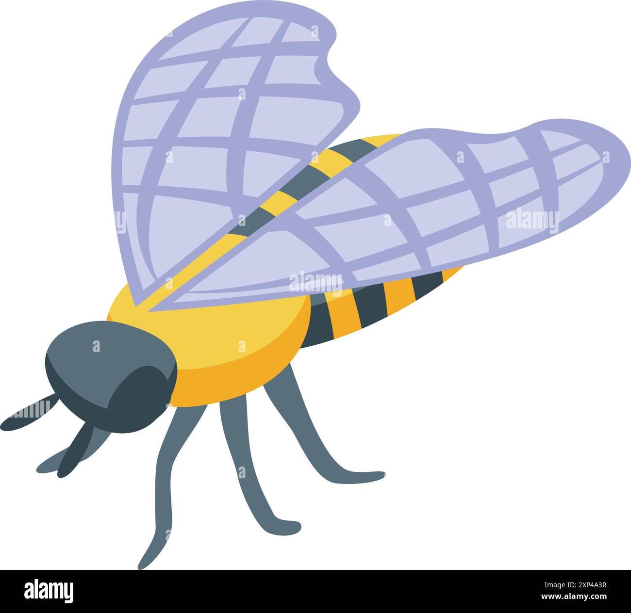 Bright yellow and black honey bee spreading its wings preparing for flight Stock Vector