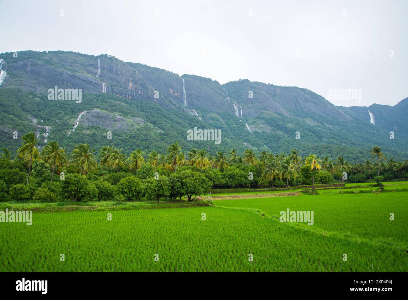 Kollengode Village with Nelliyampathy Mountains and Seetharkundu Waterfalls - Kerala Tourism Stock Photo