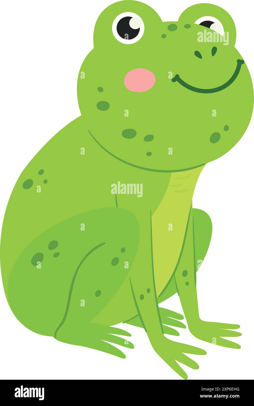 Cute frog sitting. Green wild nature animal Stock Vector Image & Art ...