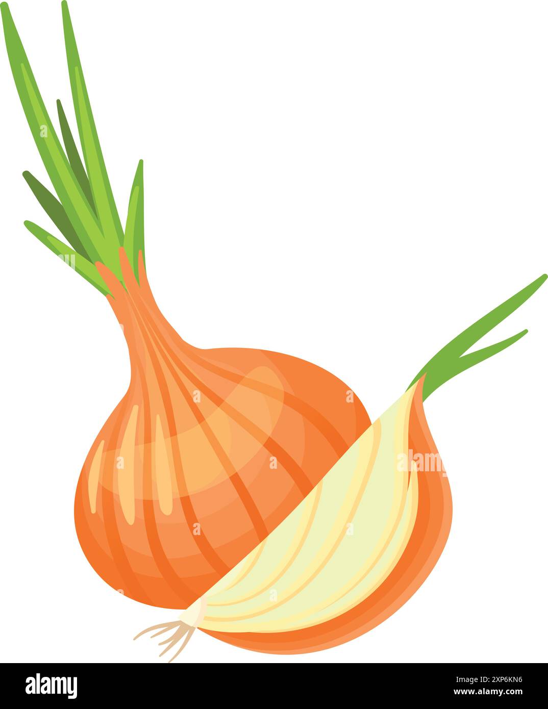 Raw onion ring Stock Vector Images - Alamy