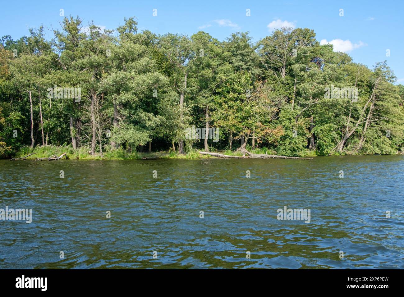 Verdant treeline on the shores of a Berlin lake in summer Stock Photo ...