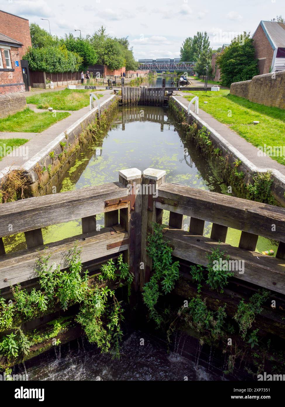Scenic old canal lock with overgrown wooden gates, calm water, and lush ...