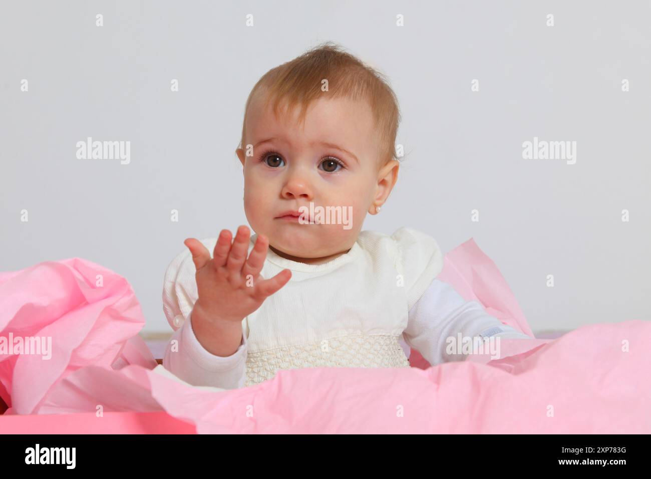 portrait of a cute baby girl on white background Stock Photo - Alamy
