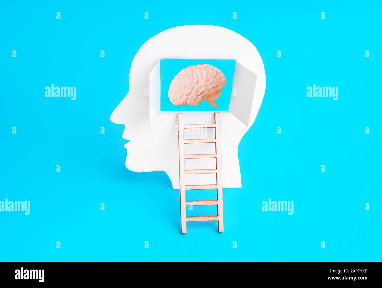 Cutout head silhouette, a brain image, and a ladder, symbolizing mental exploration and cognitive growth. Stock Photo