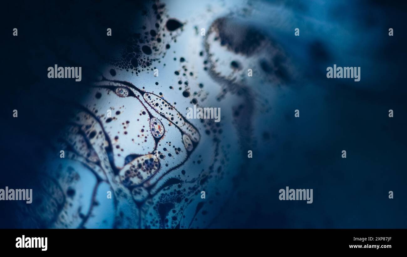 Blur foam blend bubble liquid hi-res stock photography and images - Alamy