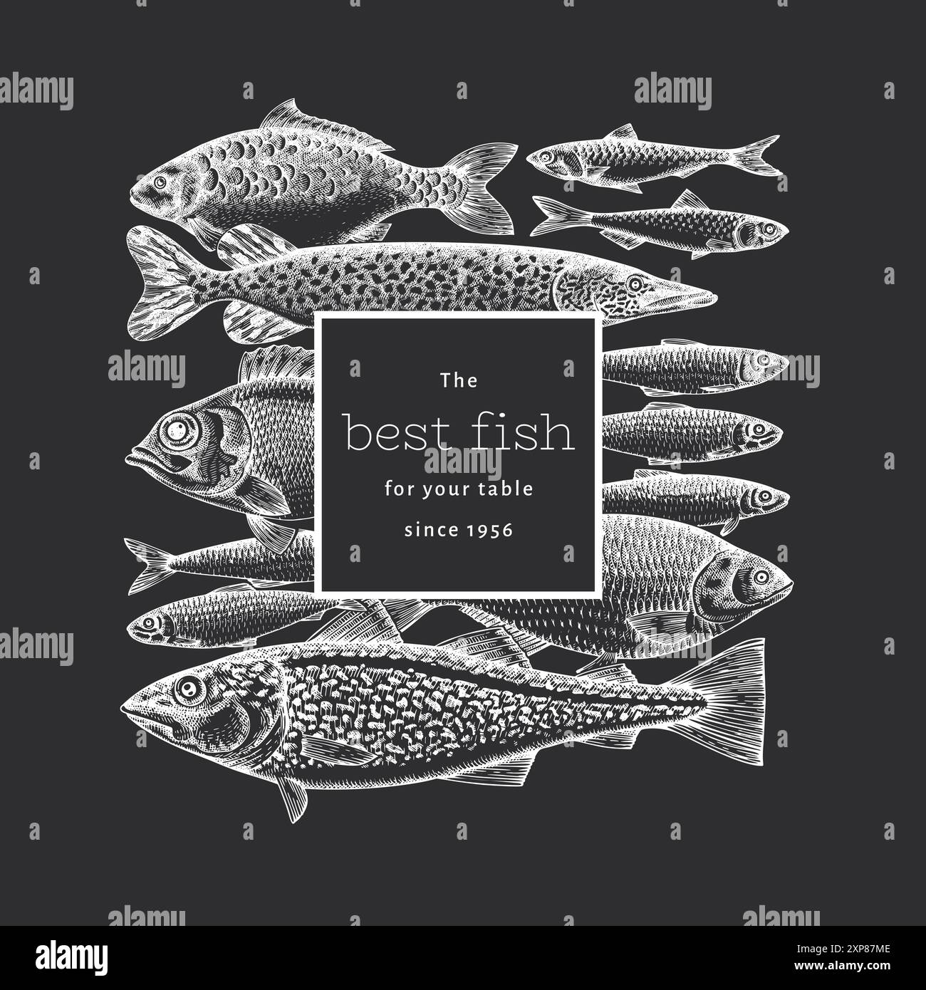 Vintage Style Fish Chalk Board Illustration. Vector Hand Drawn Seafood. High  Quality Old Fashion Image Stock Vector Image \u0026 Art - Alamy, image size:1300x1390