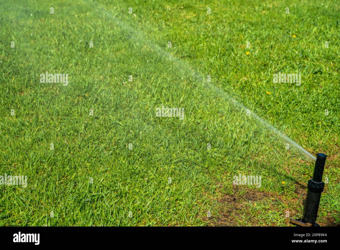 Automatic garden irrigation spray system hi-res stock photography and ...