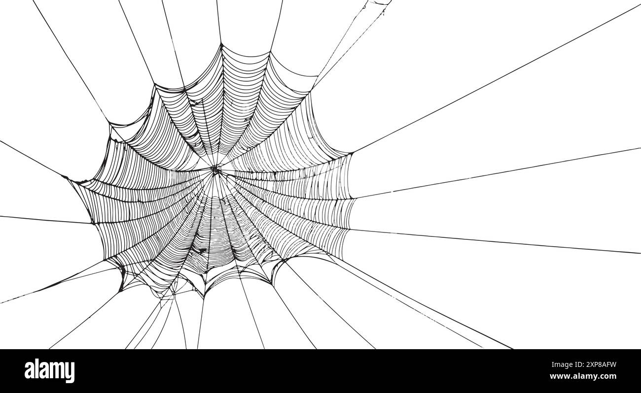 Spider web illustration with intricate concentric and radial lines, perfect for Halloween-themed projects Stock Vector