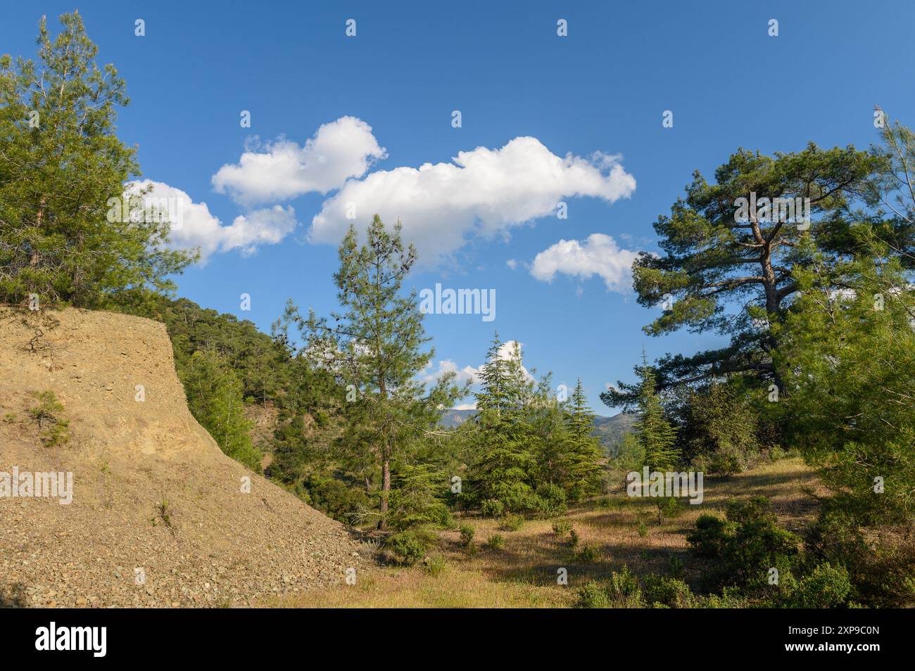 Summer landscape in rural Cyprus Stock Photo - Alamy