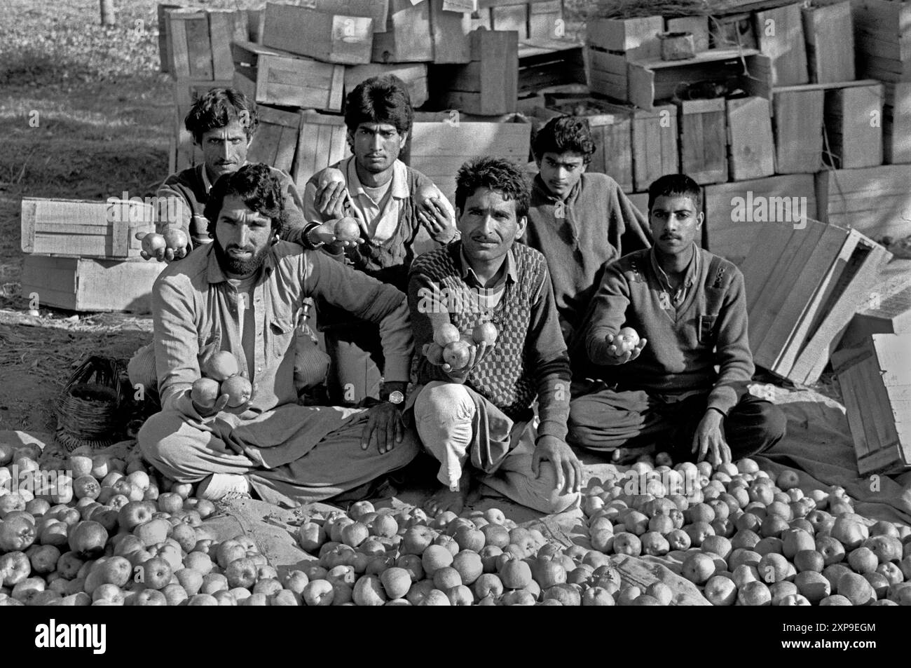 Kashmiri men selling apples in the rural village of Afan - Kashmir India - 1988 Stock Photo