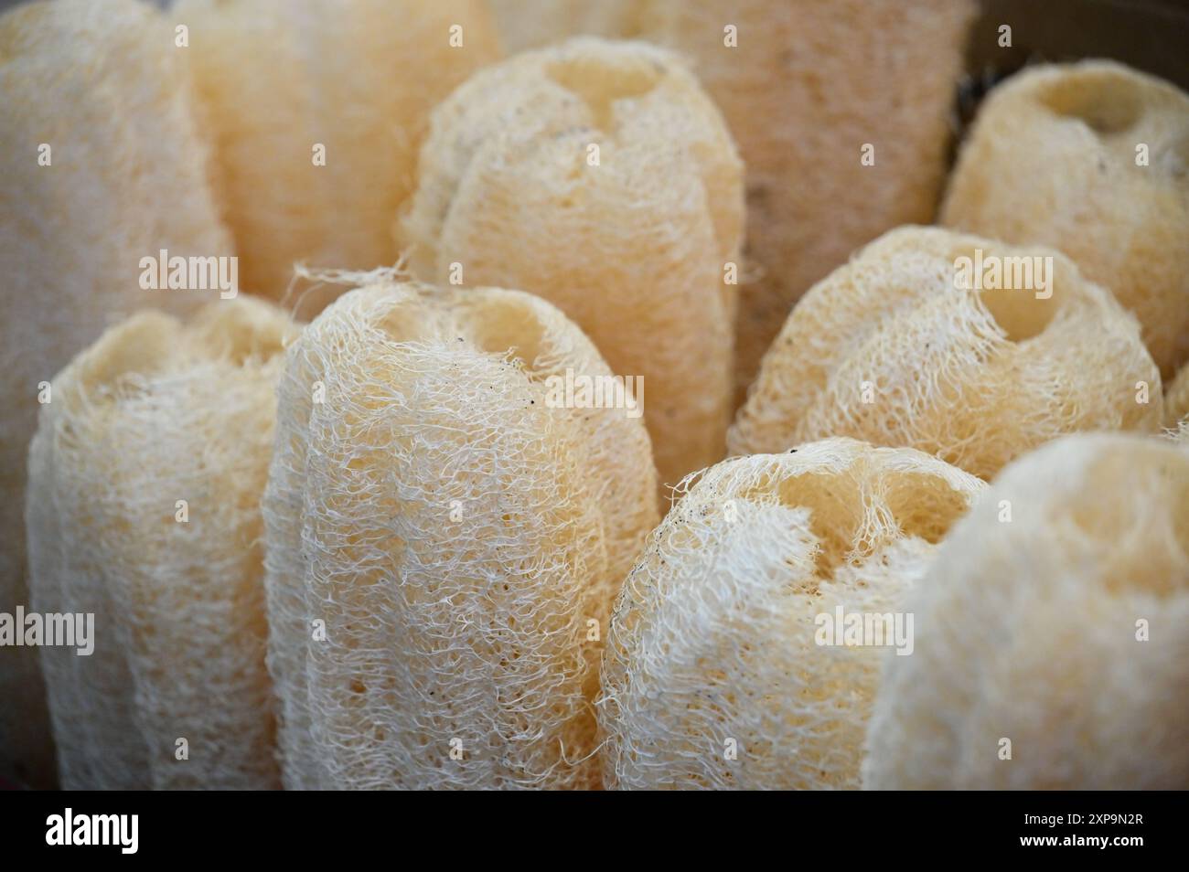 Dense fibers hi-res stock photography and images - Alamy