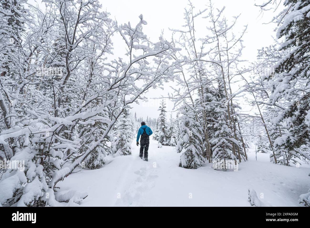 Person walking in deep snow hi-res stock photography and images - Alamy