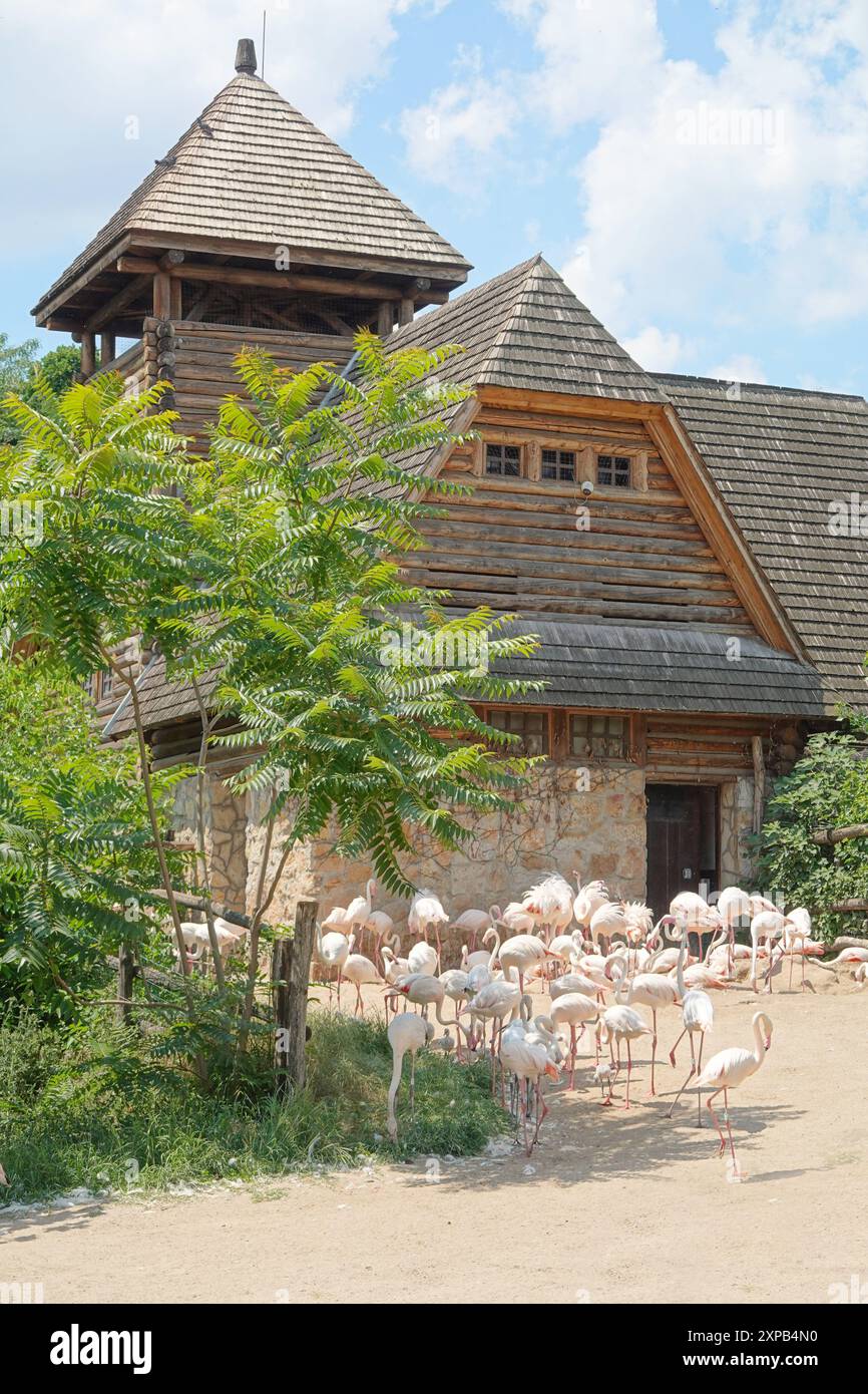 Budapest, Stadtwäldchen Varosliget, Zoo // Budapest, Varosliget, Zoo Stock Photo