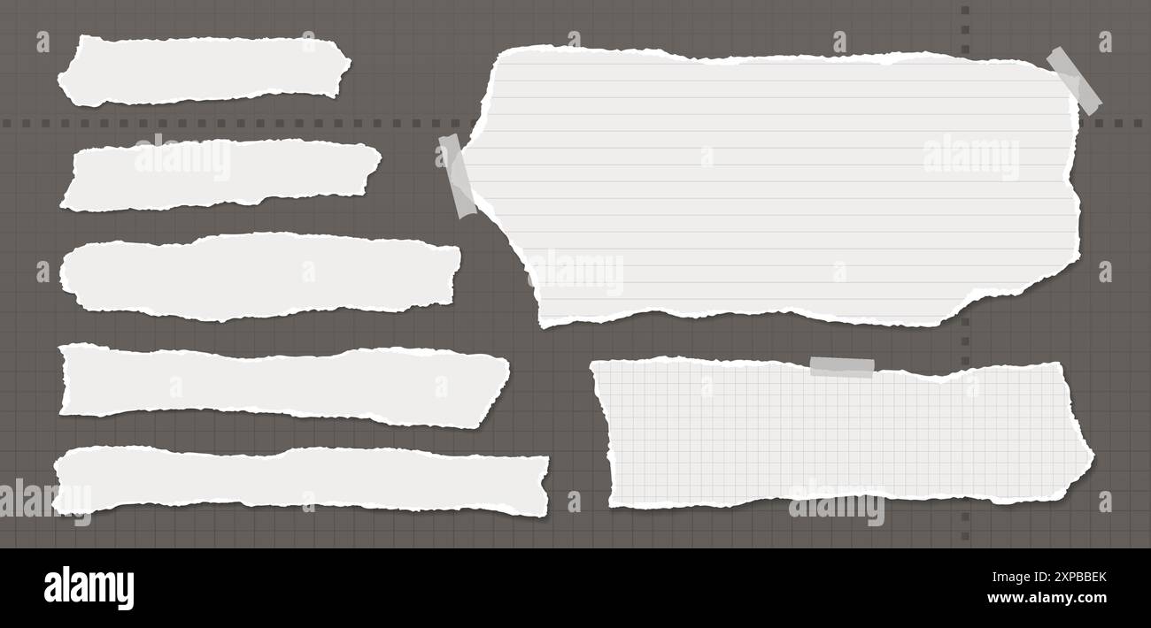 Pieces of horizontal white paper with torn, ripped edges and soft ...