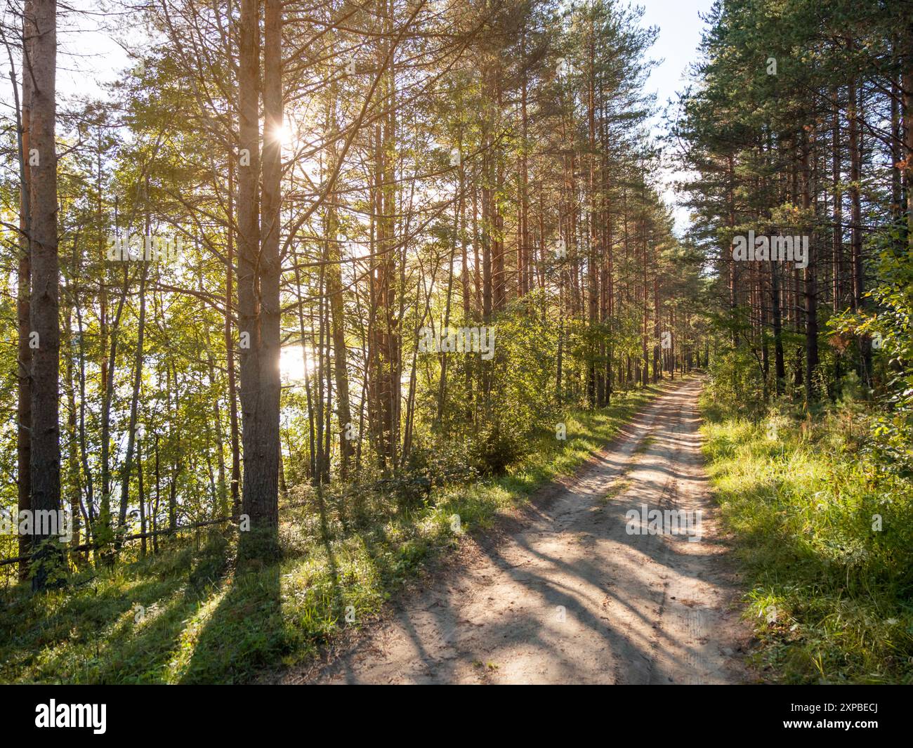 Forest near lake in russia hi-res stock photography and images - Alamy