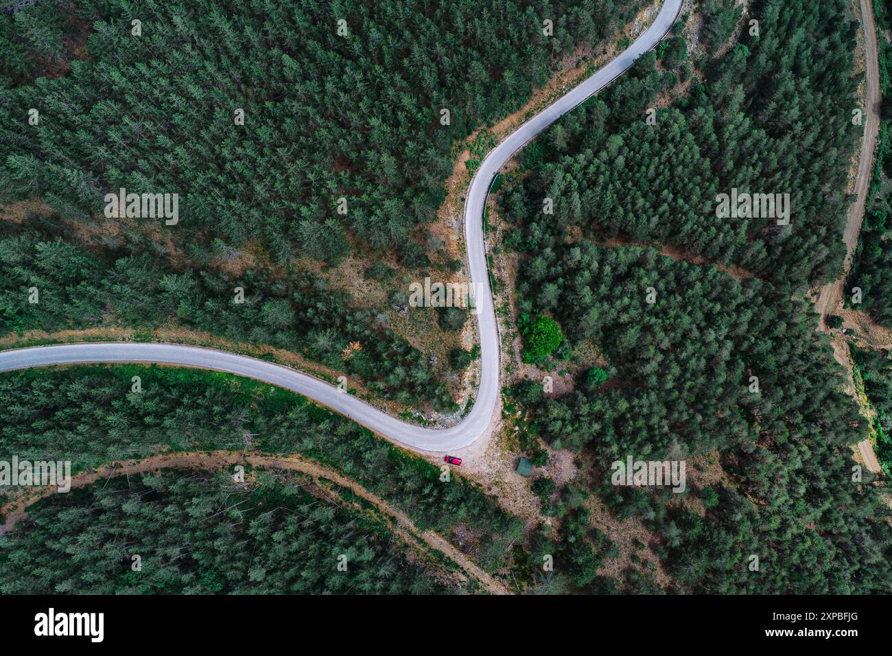 Aerial view of a serpentine road winding through the lush green forest ...