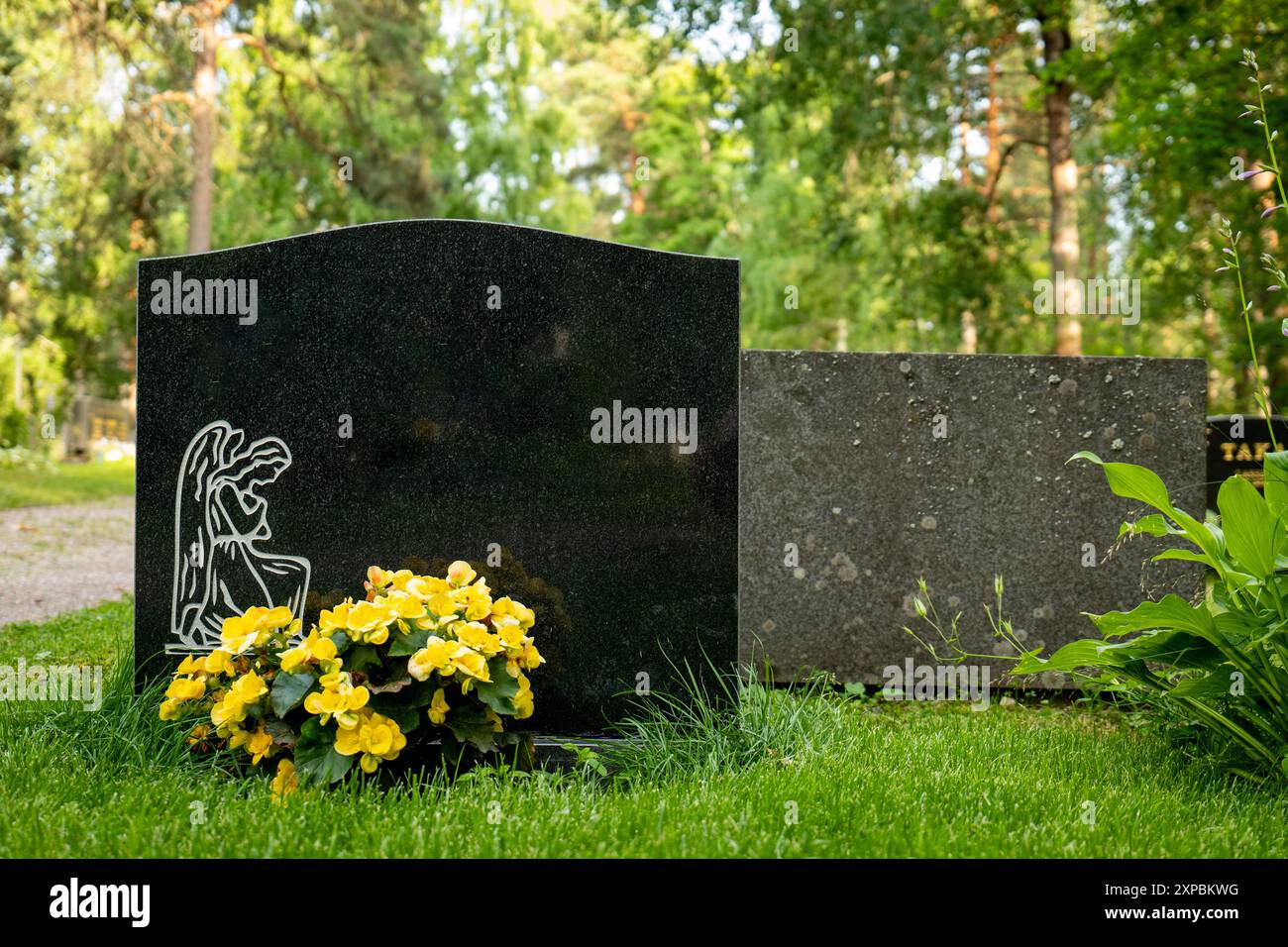 Blank gravestone isolated on hi-res stock photography and images - Alamy