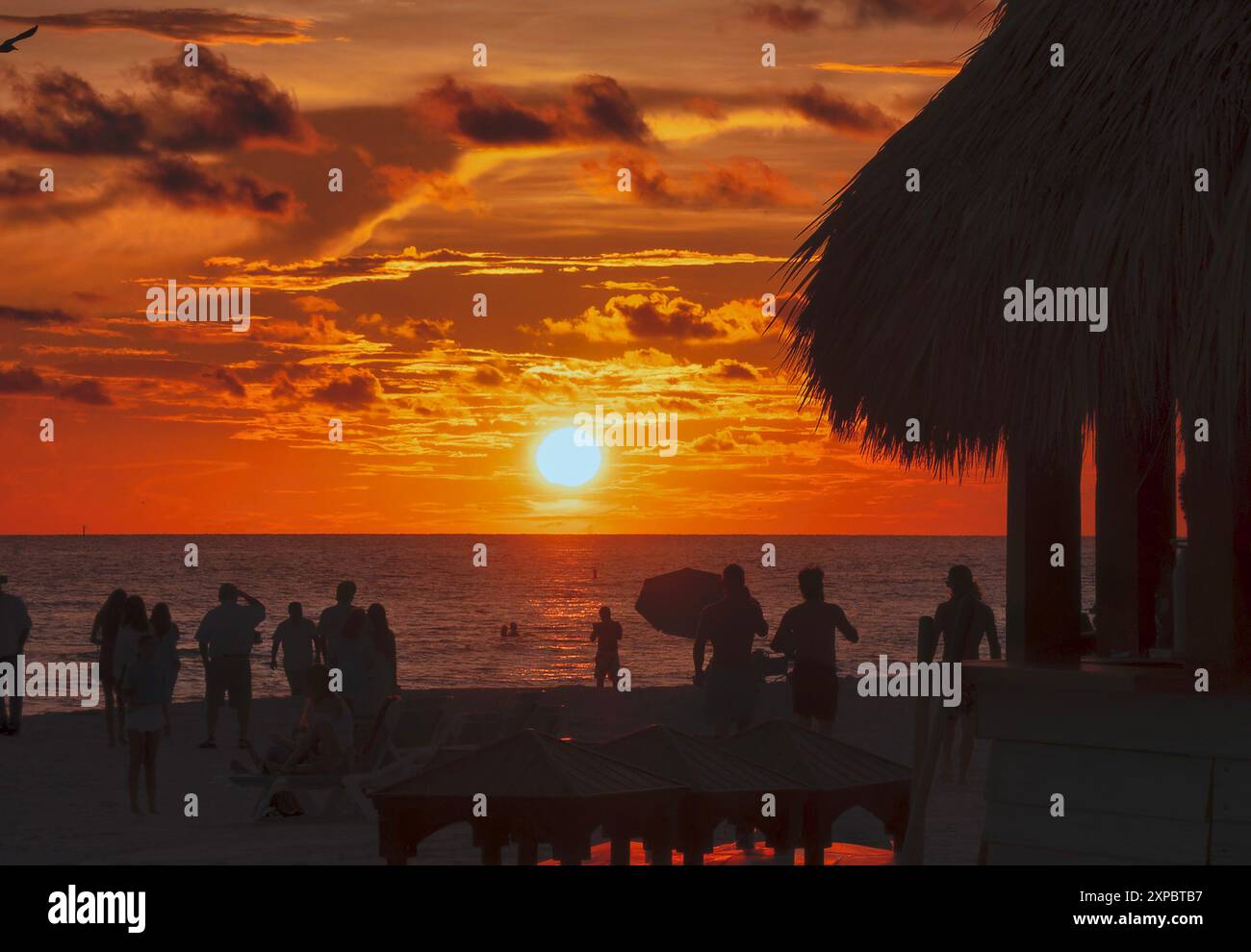 Golden sunset on a Florida beach Stock Photo - Alamy