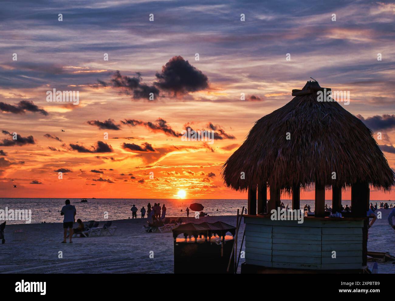 Golden sunset on a Florida beach Stock Photo - Alamy