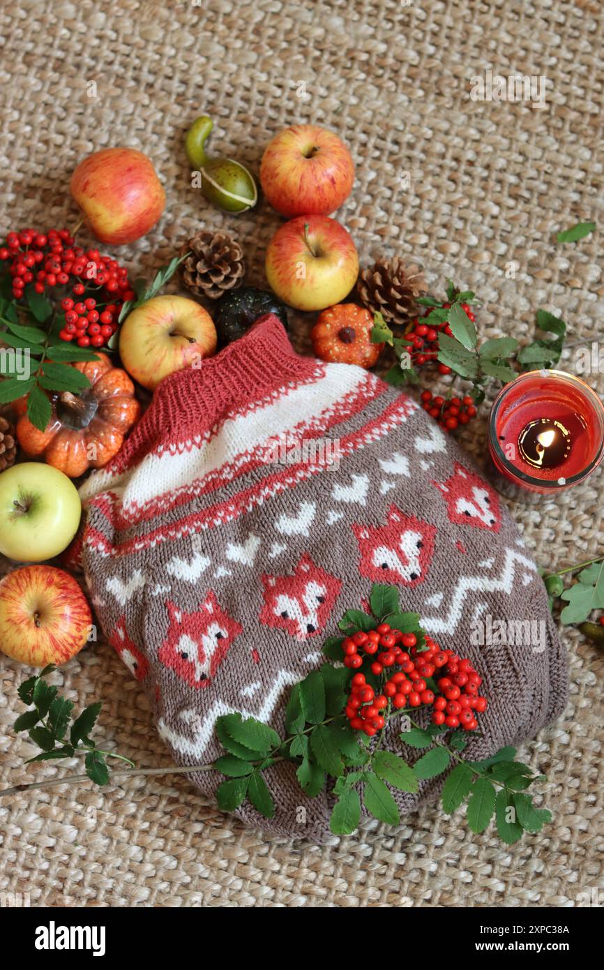 Autumn still life with knitted brown and red sweater, apples, berries ...