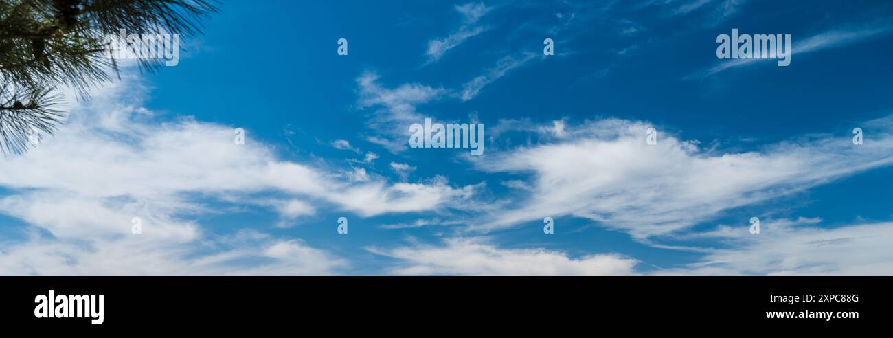 View of white clouds and blue sky through tree branches Stock Photo - Alamy