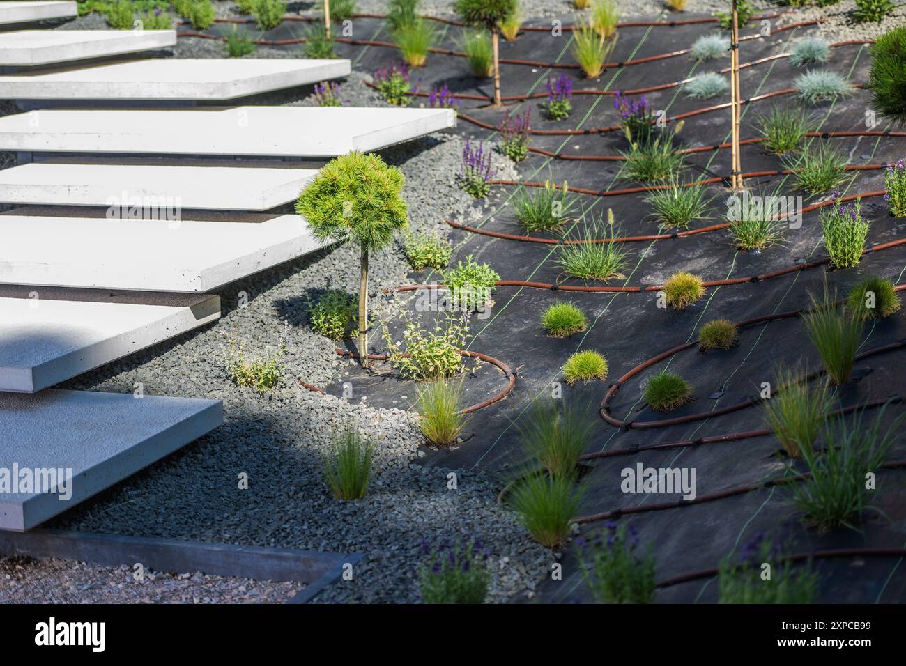 Elevated concrete steps lead through a contemporary garden featuring varied plants and efficient drip irrigation. Stock Photo