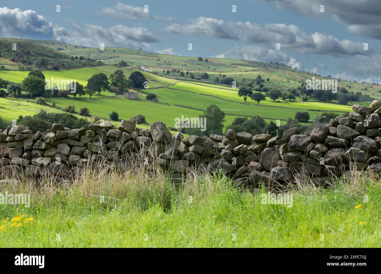 A dry stone wall in Gill Beck Valley in Baildon, Yorkshire with long distance views over fields and trees above the wall.(Yorkshire countryside scene) Stock Photo