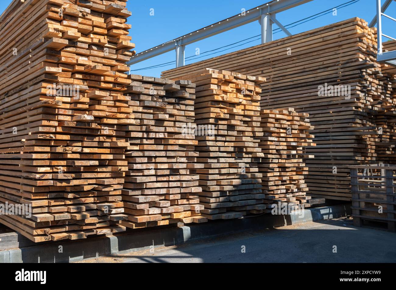 Stacked wooden planks close-up at lumber warehouse. Wood industry ...