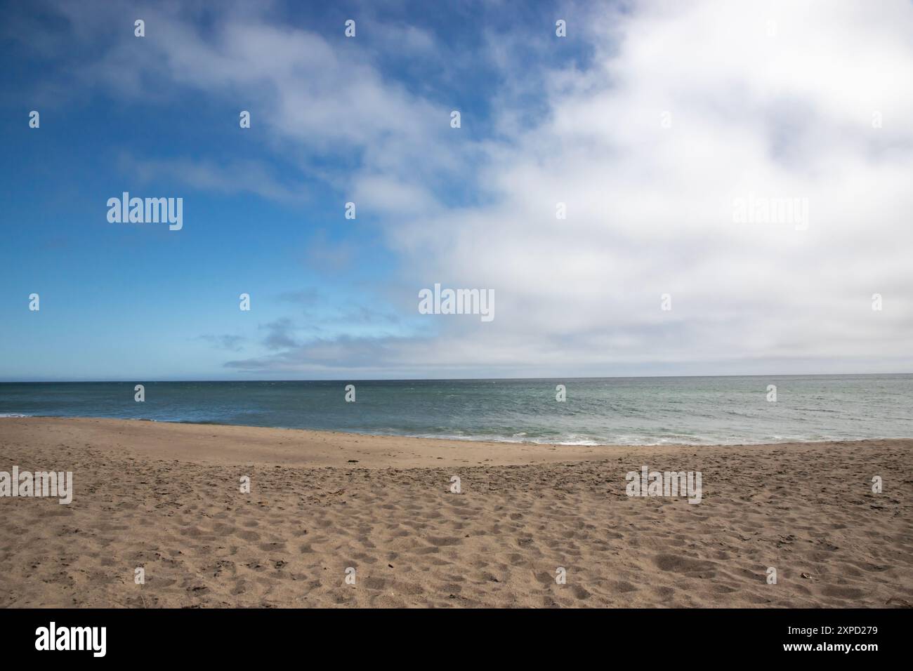 Limontour Beach along Point Reyes National Seashore in Marin County features a wide sandy beach, dunes, and a scenic Pacific Ocean view. - Stock Image