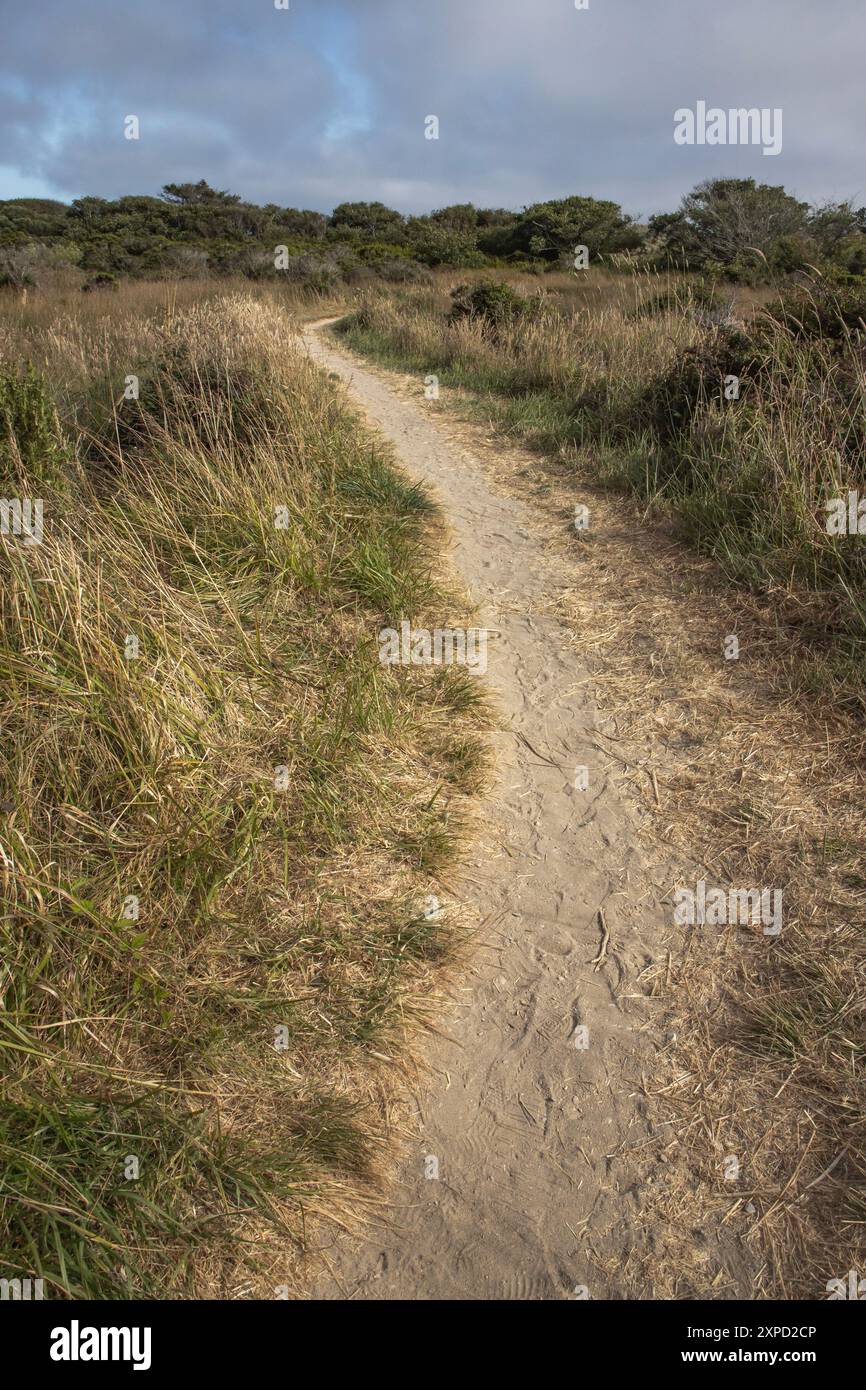 Limontour Beach along Point Reyes National Seashore in Marin County features a wide sandy beach, dunes, and a scenic Pacific Ocean view. - Stock Image