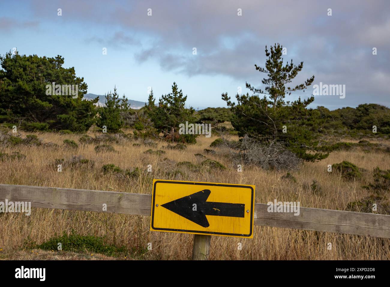 Limontour Beach along Point Reyes National Seashore in Marin County features a wide sandy beach, dunes, and a scenic Pacific Ocean view. - Stock Image