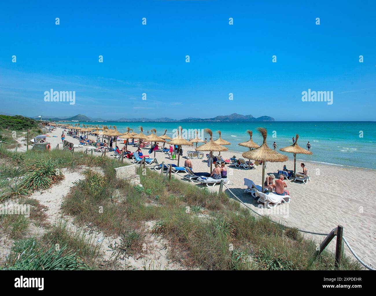 Playa De Muro Beach With Dunes Alcudia Mallorca Balearics Spain Playa De Muro Beach With Dunes Alcudia Mallorca Balearics Spain