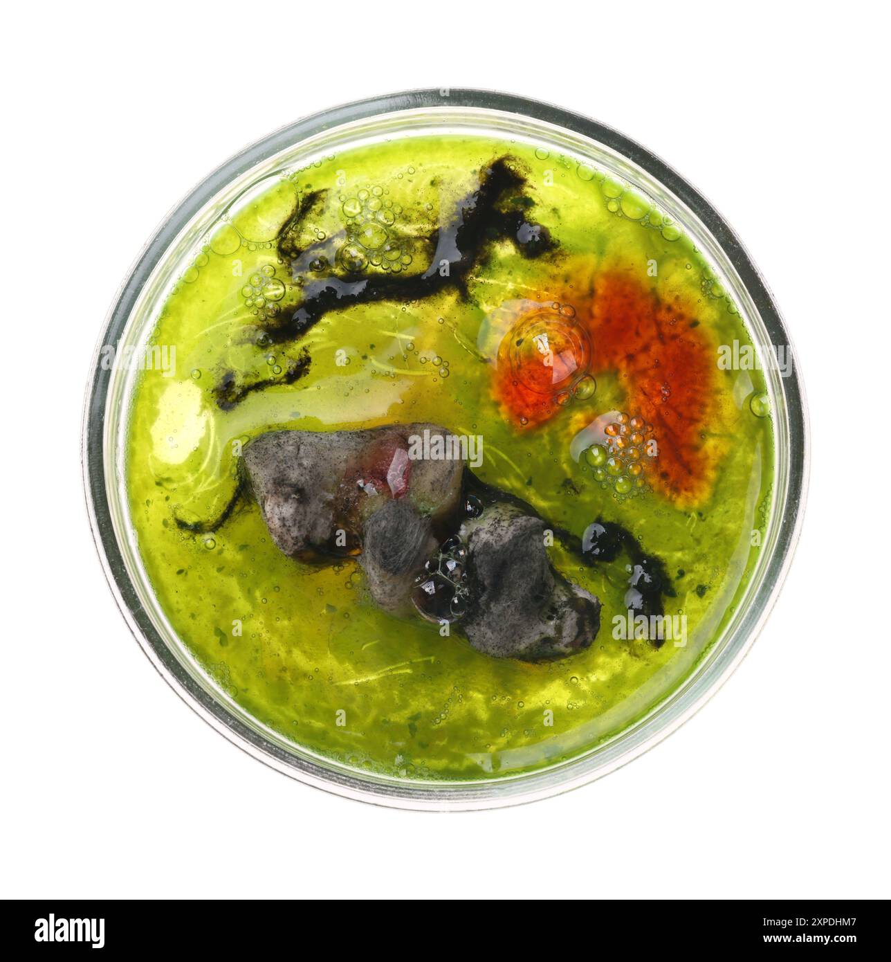 Petri dish with bacteria isolated on white, top view Stock Photo - Alamy