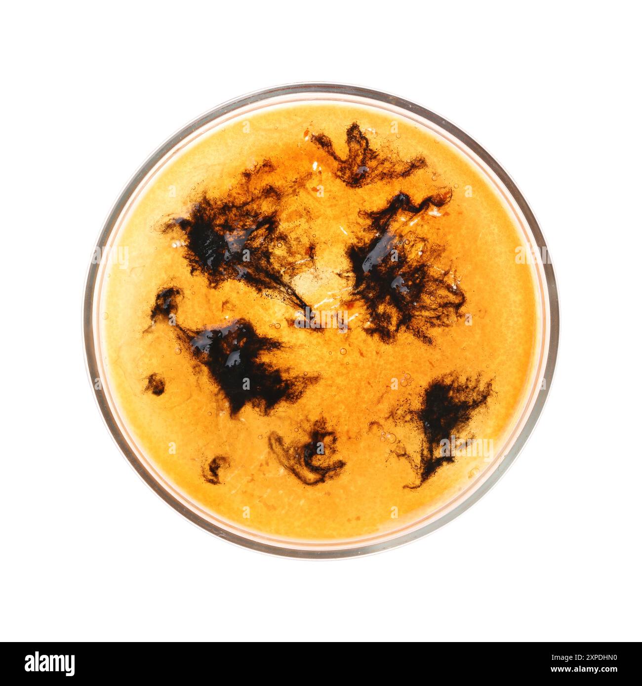 Petri dish with bacteria isolated on white, top view Stock Photo - Alamy