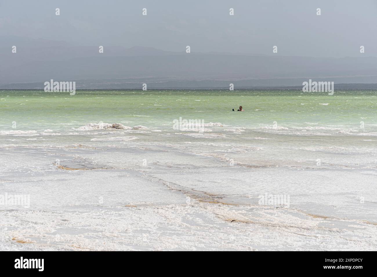 Salt crystals emerging from the water with mountains in the background, Lake Assal, Djibouti Stock Photo