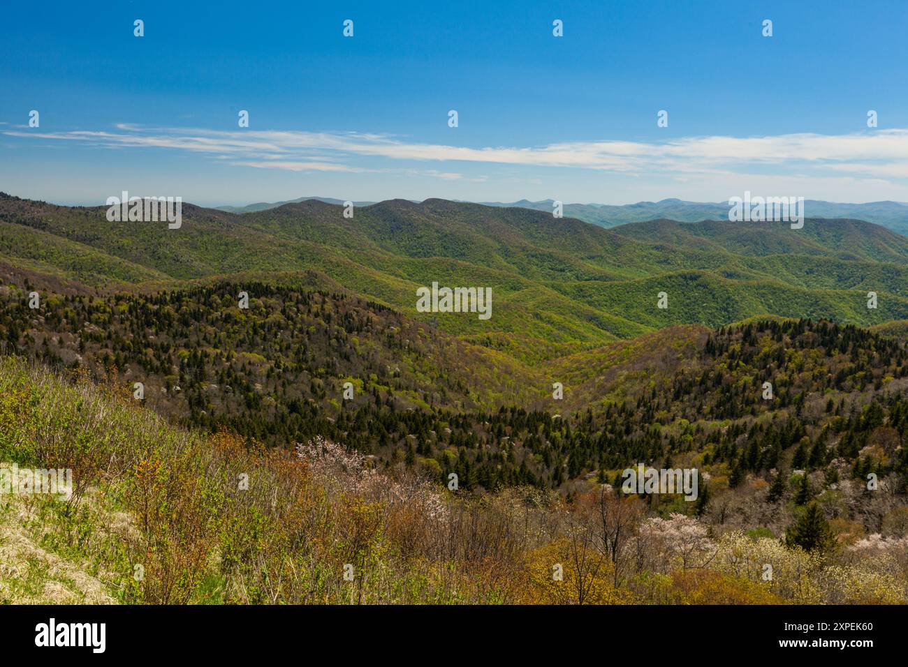 Blue Ridge 460 Spring Blue Ridge Parkway in Spring in NC Stock Photo - Alamy