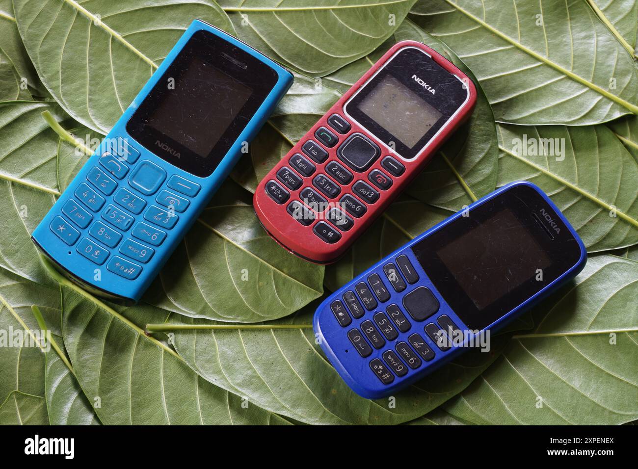 Terengganu, Malaysia - 23 August 2024 : Closeup of three branded nokia keypad phones on green scattered leaves. Blue and red colors. Stock Photo