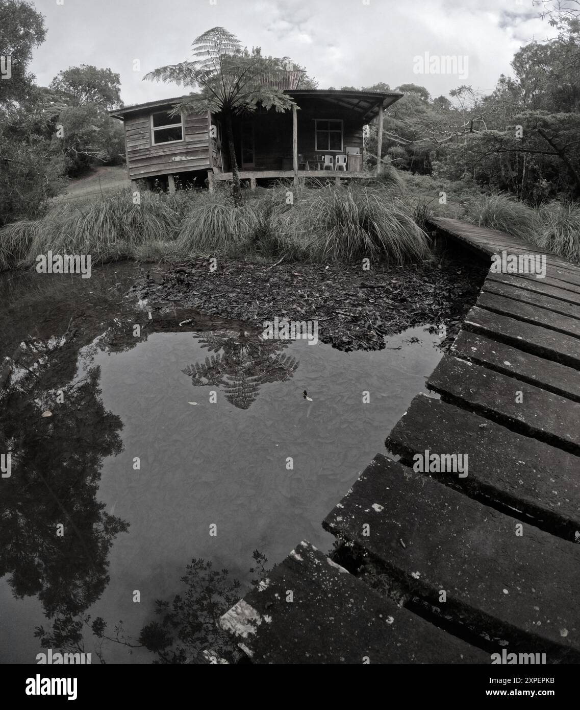 Spooky wooden house in swamp Stock Photo