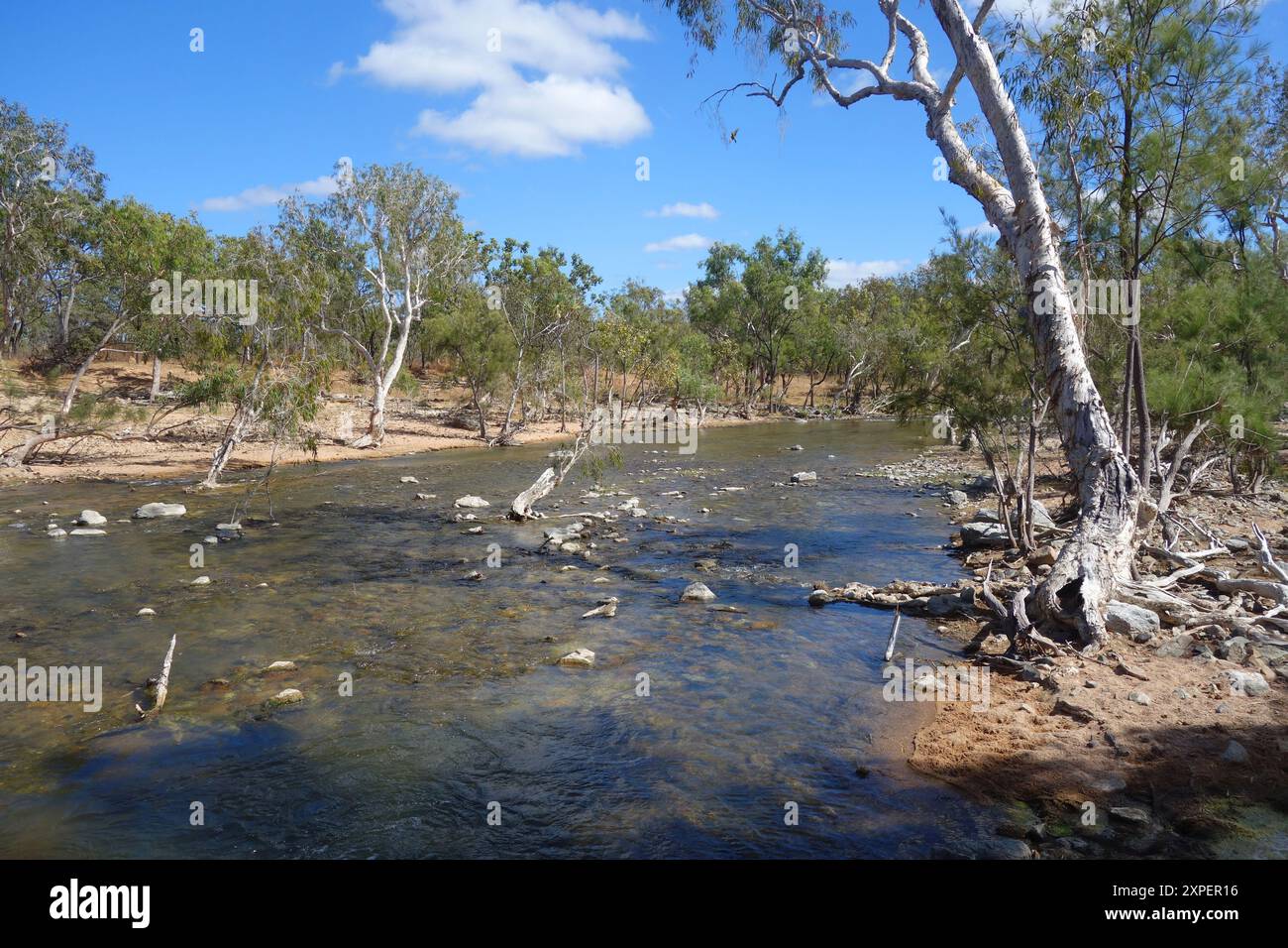 Outback Australia Rivers You're Floating Down A Brown River In The