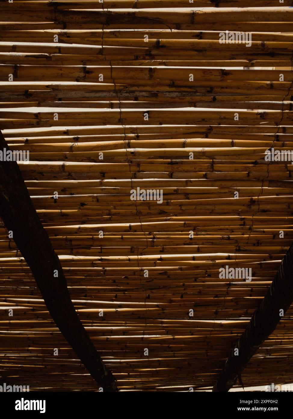 Rustic Mediterranean Charm: Upward View of a Bamboo Roof in Olbia's