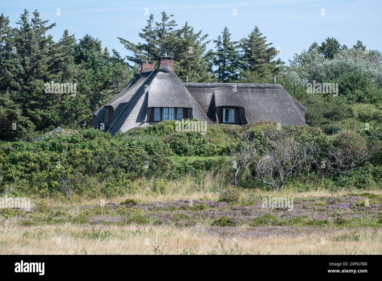 Immobilien Auf Island