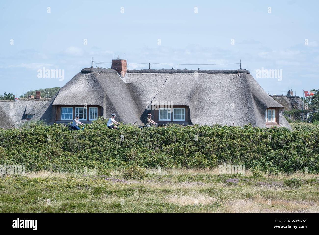Immobilien Auf Island