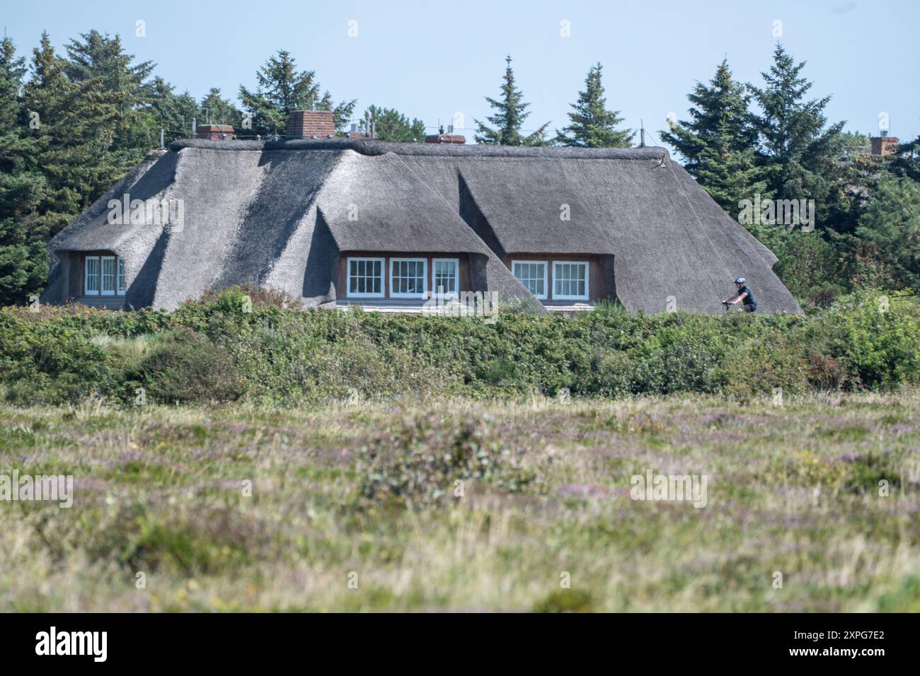 Immobilien Auf Island