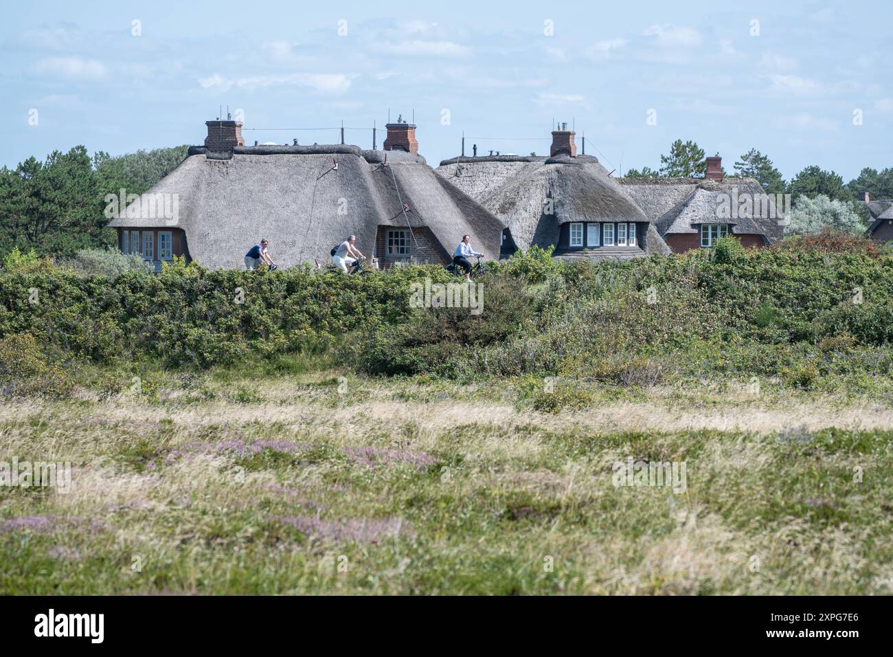Immobilien Auf Island