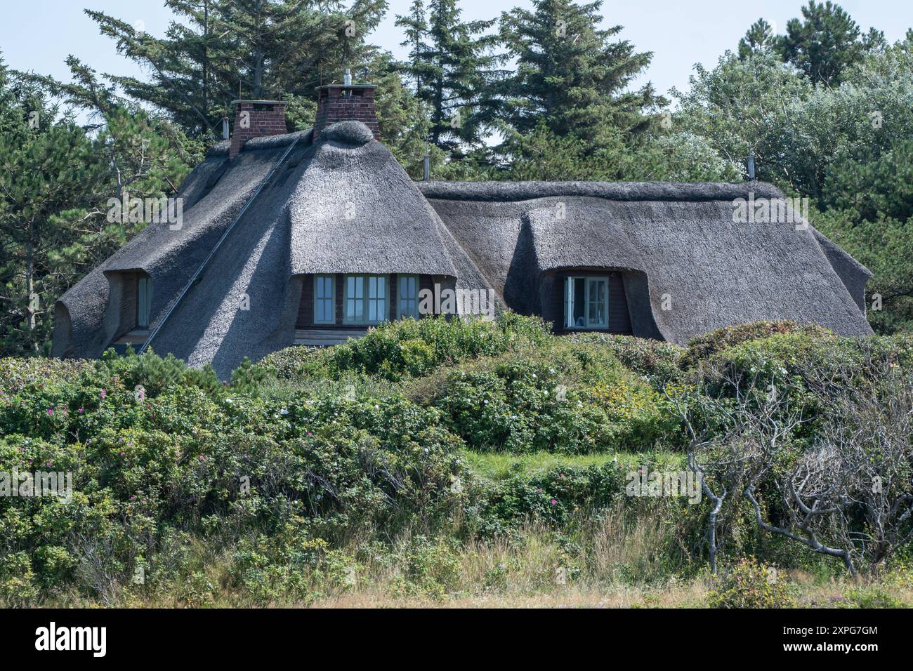 Immobilien Auf Island