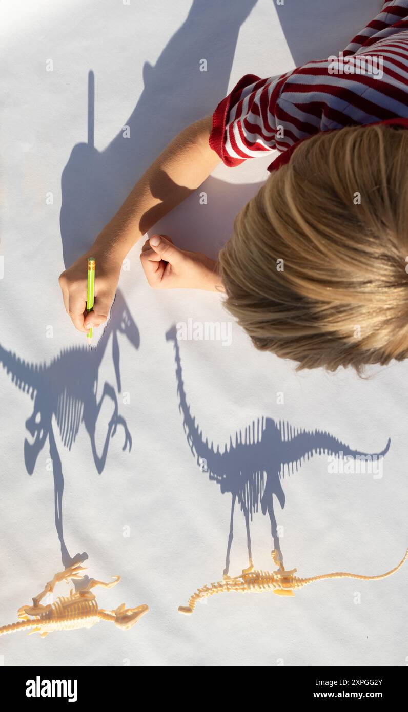 child is intently tracing with a pencil the contrasting shadows of the skeletons of toy dinosaurs. creative ideas for children's creativity, games wit Stock Photo