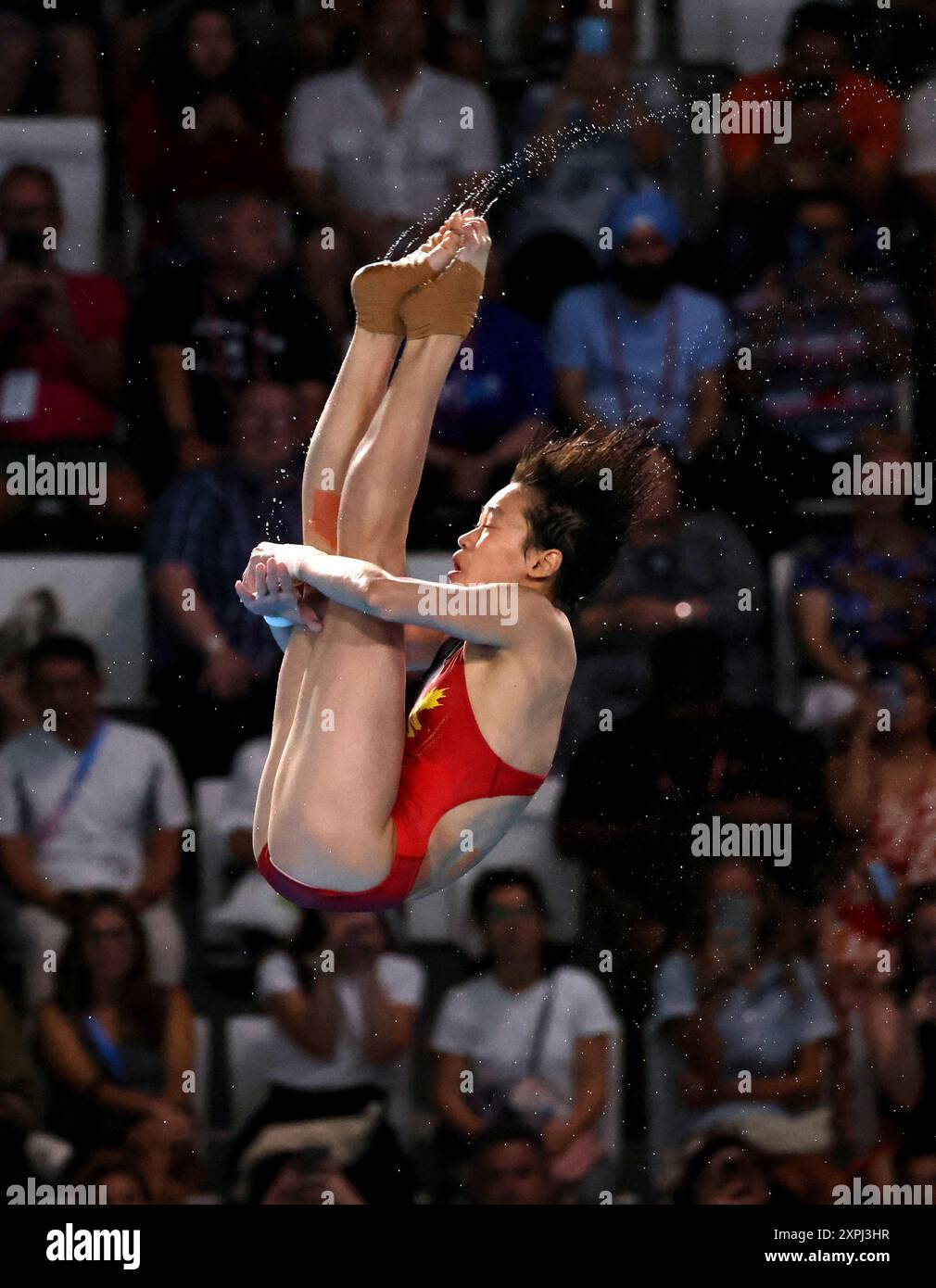 Paris, France. 06th Aug, 2024. Paris Olympics: DIVING - Women's 10 ...