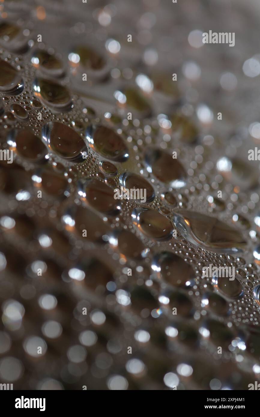 Water humidity drops bubbles macro on water colorful background liquid ...
