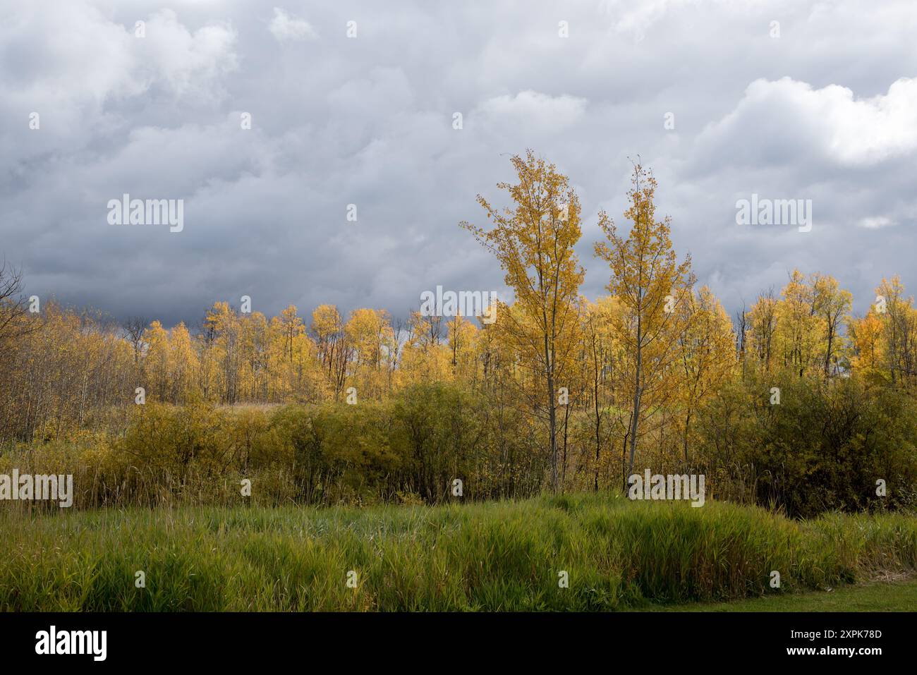 elk island national park edmonton alberta