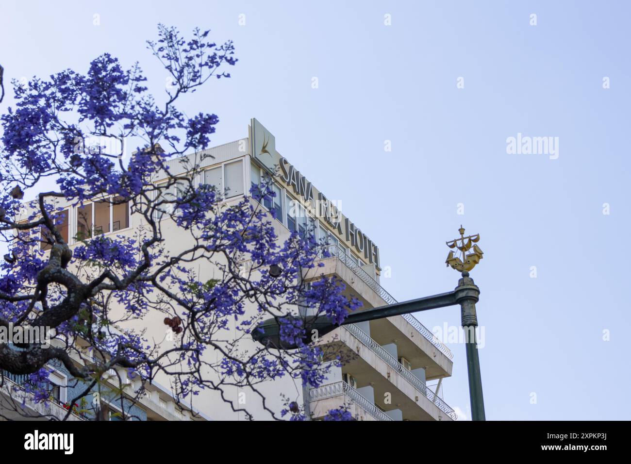 Sana rex hi-res stock photography and images - Alamy